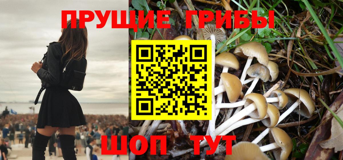 Кизилюрт  Галлюциногенные грибы мицелий  наркотики  Вход с VPN 