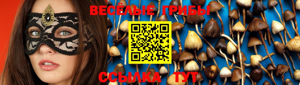 Псилоцибиновые грибы MAGIC MUSHROOMS Кизилюрт
