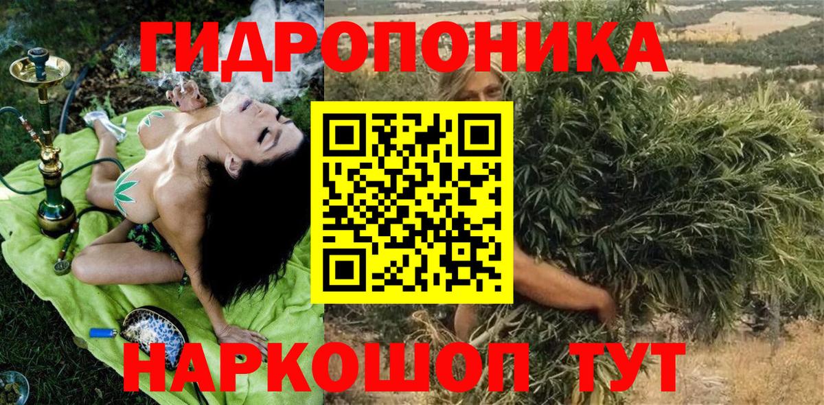 Кизилюрт  Канабис семена  Марихуана OG Kush  Вход с VPN  Канабис OG Kush 